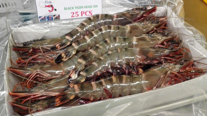 Black Tiger Shrimp