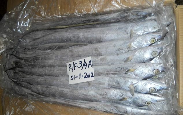 Frozen Ribbon fish
