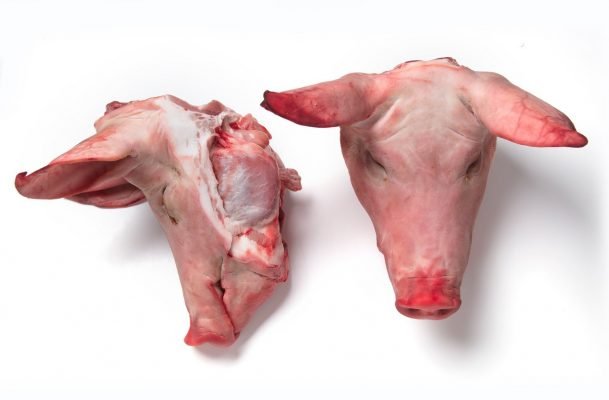 Pork head