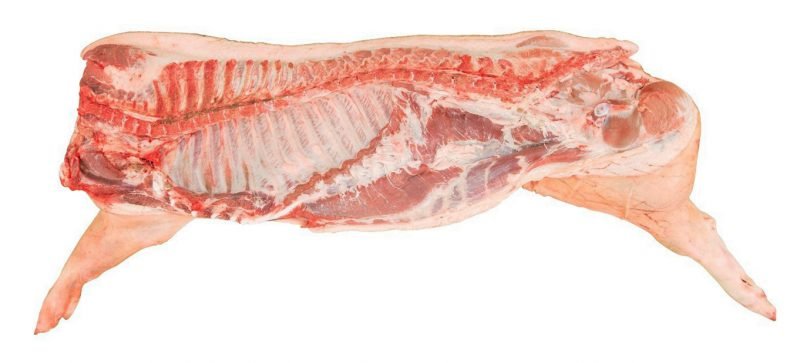 Whole Pork Carcass